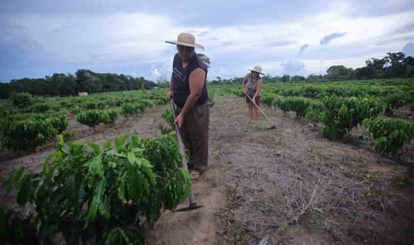 Programa nacional de crédito fundiário garante R$ 4,8 milhões de investimentos na agricultura familiar