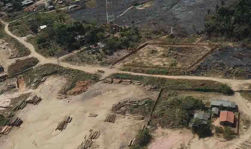 PF e órgãos ambientais deflagram operação contra extração e comercialização de madeira em terras indígenas