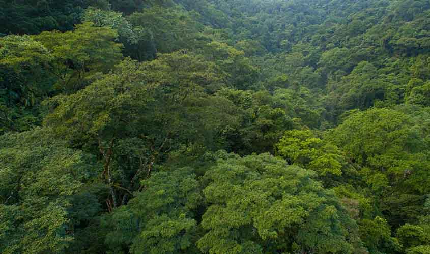 Publicada Lei do Licenciamento Ambiental, com 63 vetos 