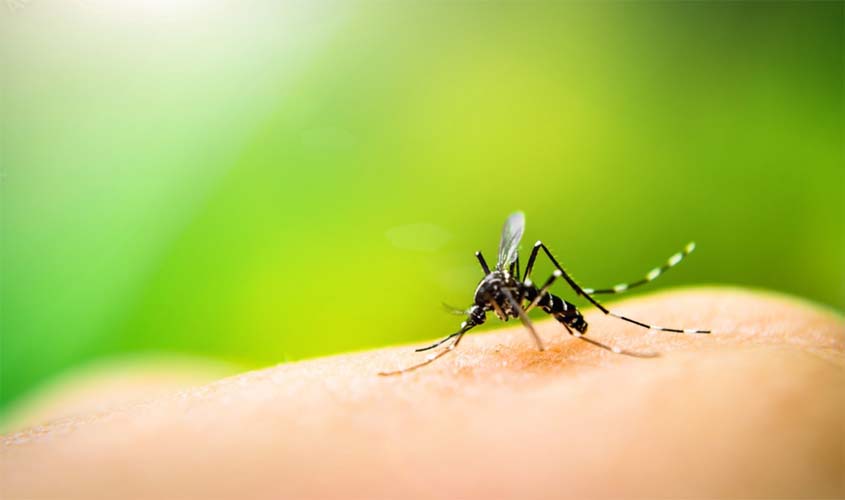 Medidas multidisciplinares contra a proliferação do mosquito Aedes são recomendadas pelo MP aos Municípios de Pimenta Bueno, Primavera de Rondônia e São Felipe