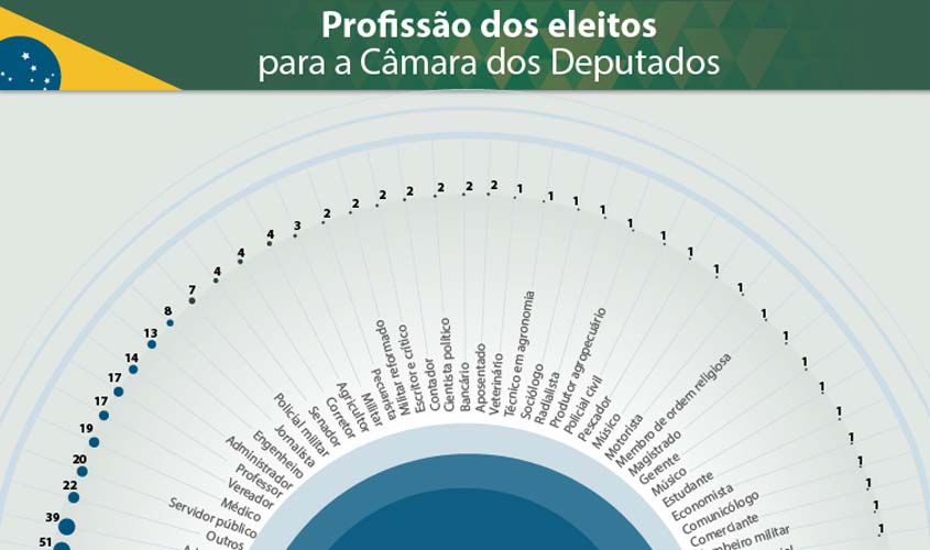 Candidatos que se autointitulam políticos profissionais lideram ranking dos deputados eleitos