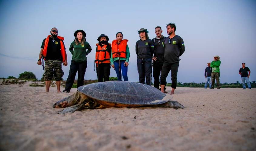 Fiscalização é intensificada durante período de eclosão de tartarugas e tracajás nas praias do rio Guaporé