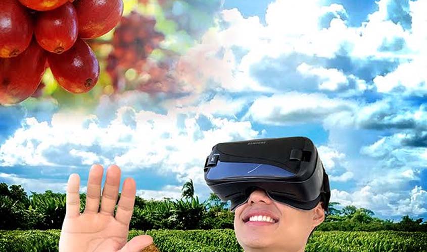 Embrapa Rondônia disponibiliza vídeos sobre o café em realidade virtual 