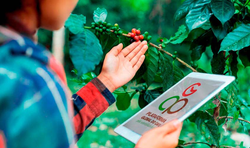 Parceria com a Plataforma Global do Café oferece capacitação para produtores e técnicos