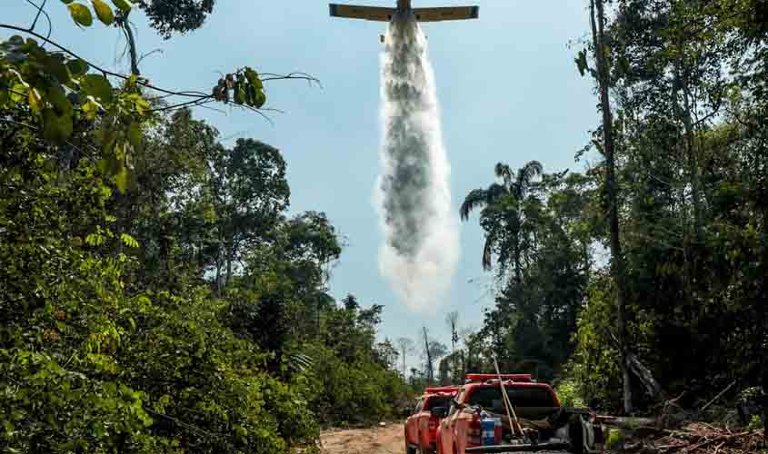 Rondônia alcança menor taxa de desmatamento na Amazônia