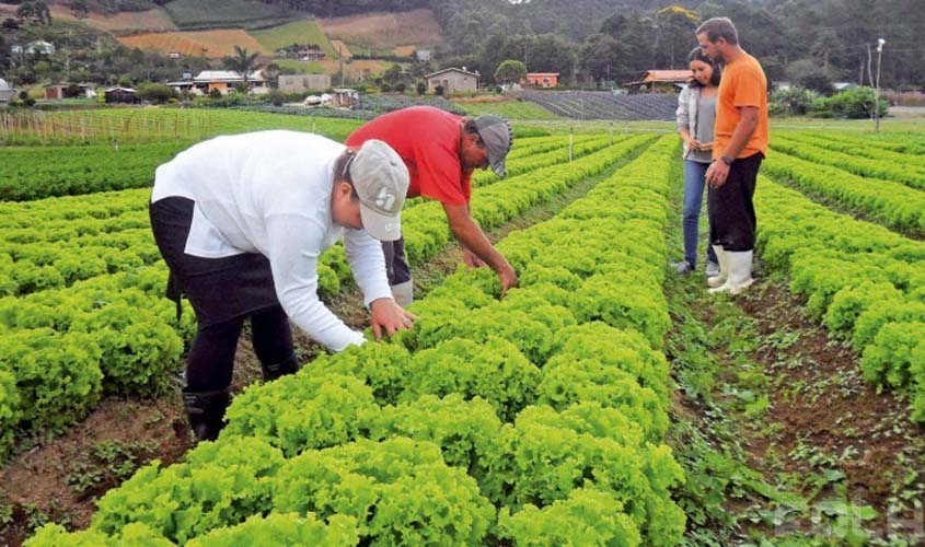 Programa de renegociação de dívidas rurais é publicado no DOU