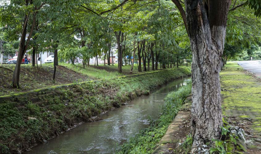 Grande quantidade de lixo doméstico é encontrado nos canais de Porto Velho