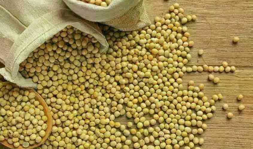 Saca de soja registra alta no preço, no Paraná, nesta segunda-feira (10)