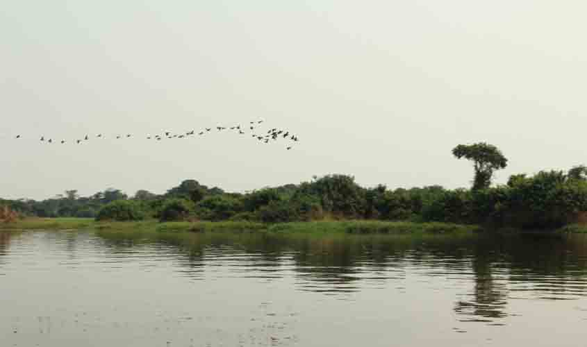 Etapa estadual da Conferência Nacional do Meio Ambiente discutirá cinco eixos temáticos