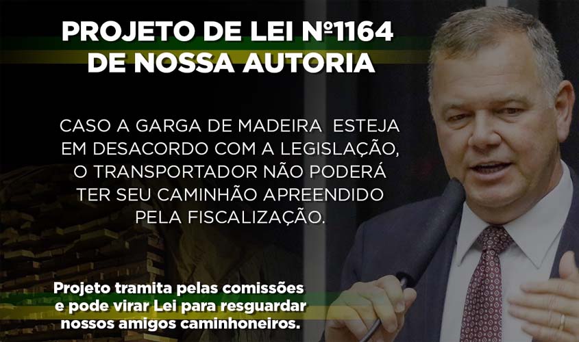 Projeto do deputado Lucio Mosquini isenta transportador de responsabilidade por transporte de madeira ilegal