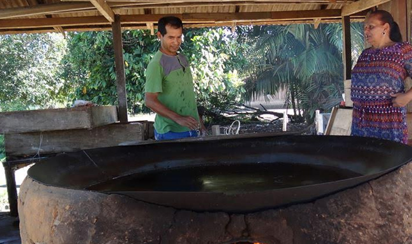 Distrito portovelhense de Demarcação é destaque na produção de farinha em RO