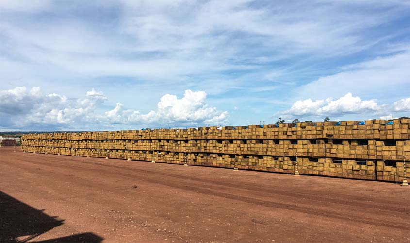  Ibama apreende 14 mil dormentes de madeira nativa da Amazônia em pátio da Estrada de Ferro Carajás no MA