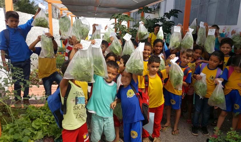 Alunos da Rio Madeira colhem produtos da horta orgânica plantada por eles