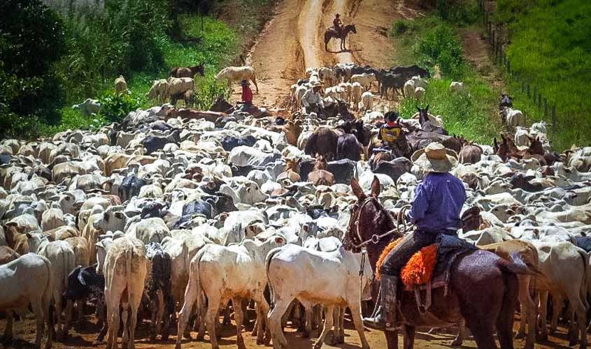 Guia eletrônica de transporte animal em smartphones facilita cada vez mais a rotina de trabalho de pecuaristas e piscicultores em Rondônia