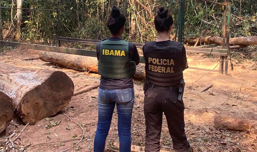 Polícia Federal realiza operação de combate à exploração ilegal de madeiras no interior da Terra Indígena Rio Mequéns