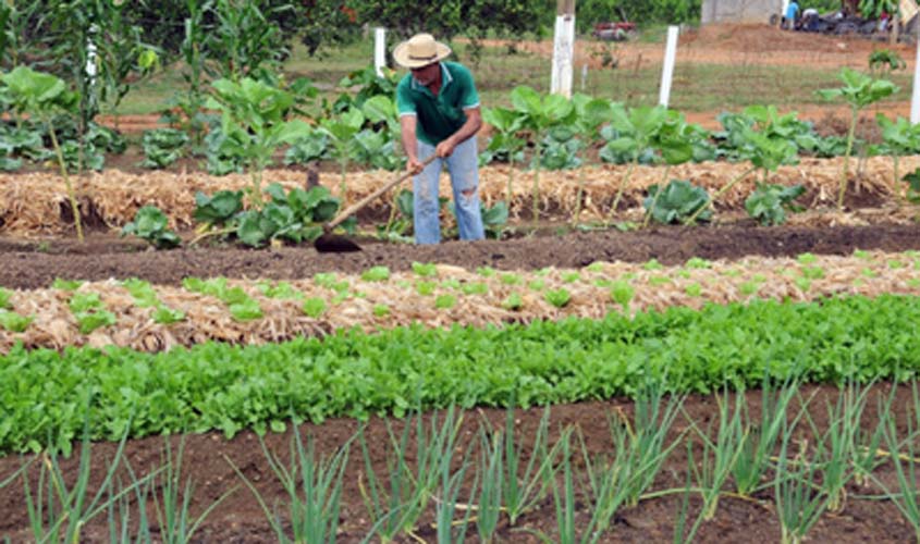 RO: MPF protege 39 mil ha e evita despejo de famílias