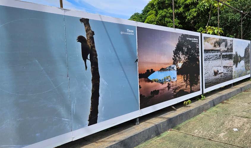 FCJP divulga amanhã resultado do concurso de fotografia
