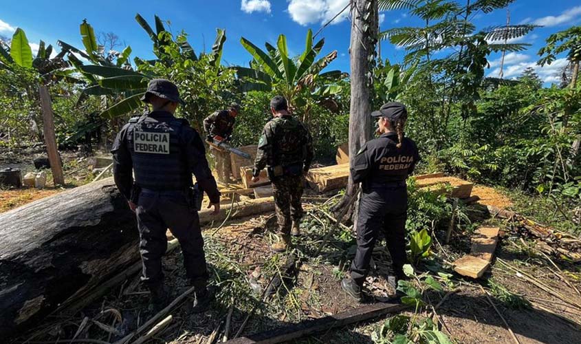 PF combate grilagem e incêndio em terra indígena