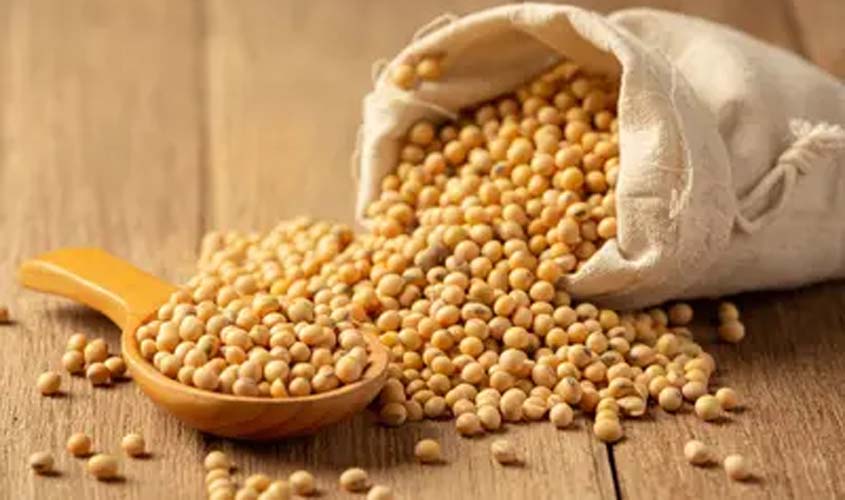 Soja e trigo: cotações de preços desta quarta (10)