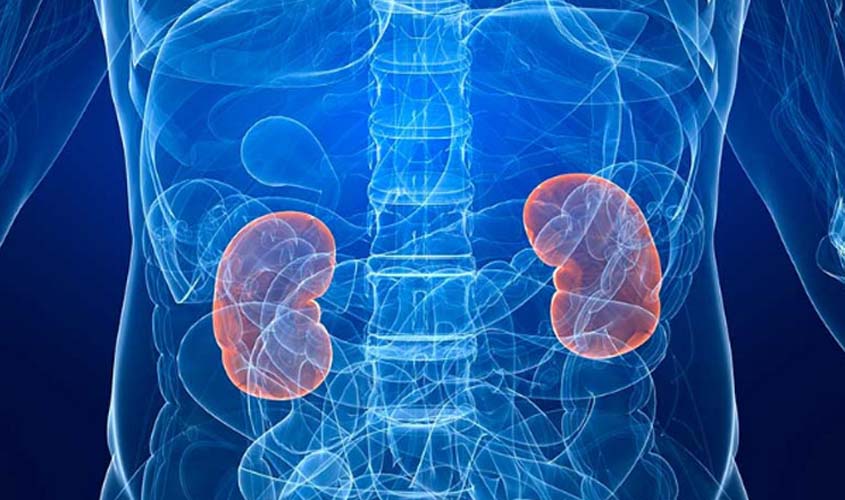 No Dia Mundial do Rim, Nefrologista alerta para os riscos da Doença Renal Crônica e destaca a prevenção como melhor caminho para enfrentá-la