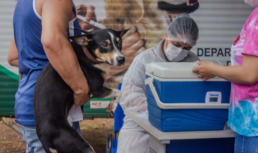 Vacinação de cães e gatos segue disponível em Porto Velho