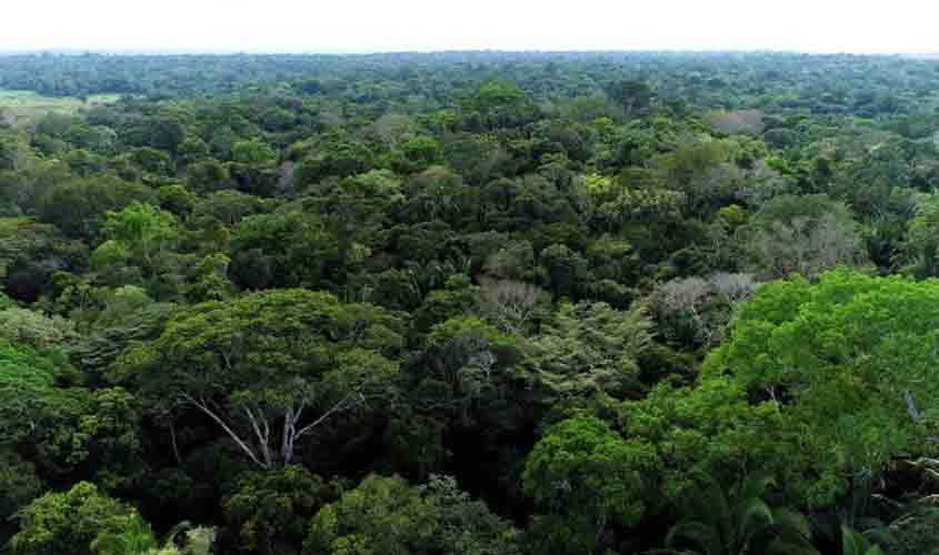 MPRO e Estado de Rondônia obtêm sentença de desocupação de Estação Ecológica de Samuel