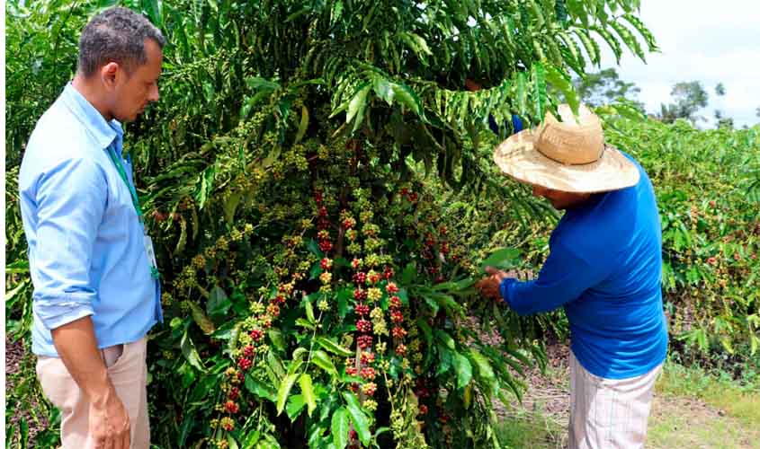 Destaques das ações do governo de RO de 7 a 11 de julho