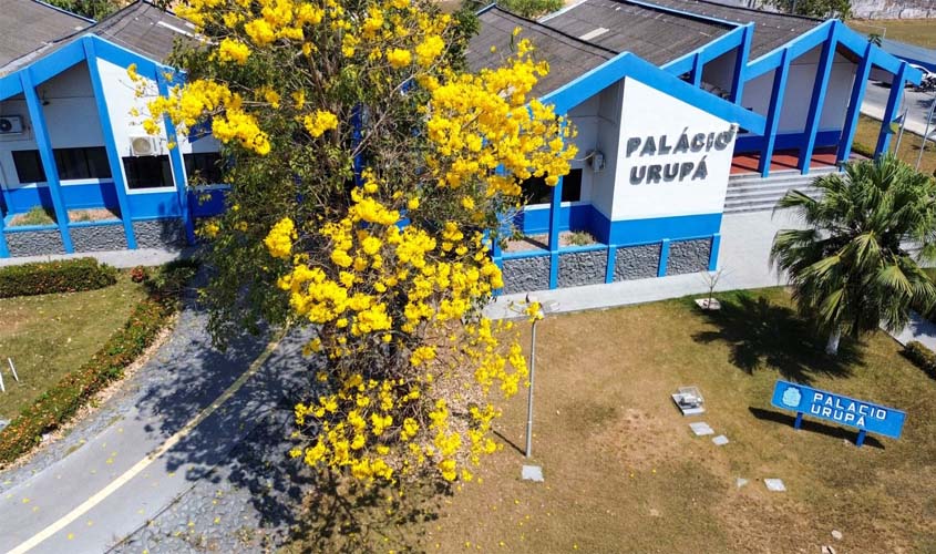 Florada de Ipês deixa paisagem mais colorida