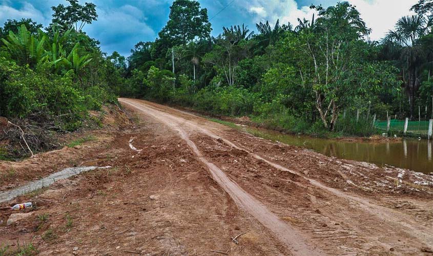 Ambientalistas denunciam desmatamento às margens de rodovia amazônica