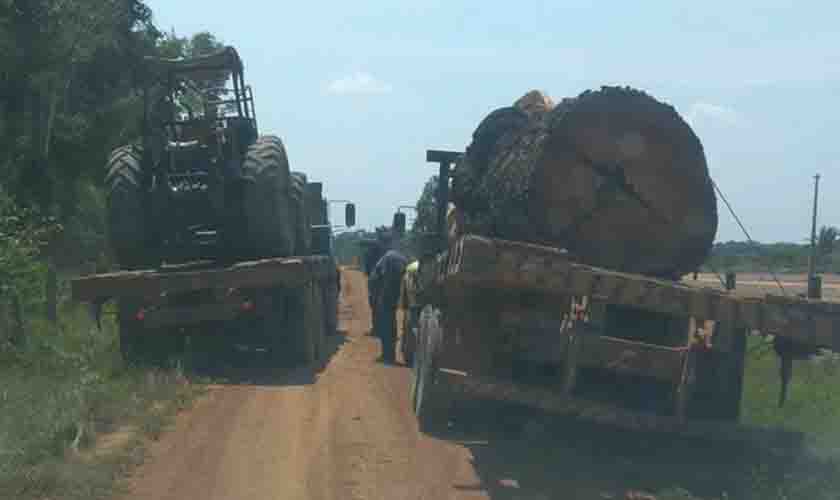 Extração e transporte irregular de madeira é localizado pela Polícia Militar