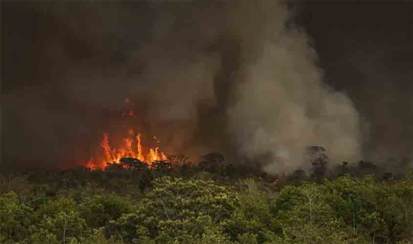 Brasil tem 22,38 milhões de hectares atingidos pelo fogo em nove meses