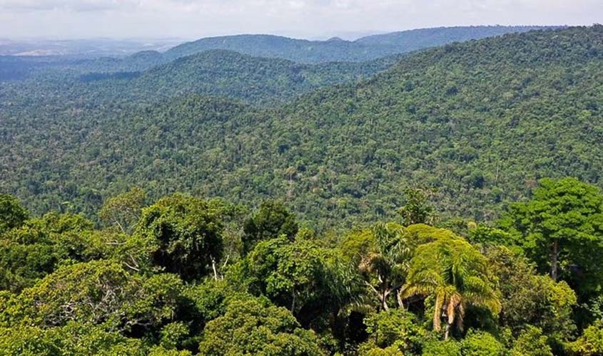 Desmatamento na Amazônia cai 22,3% entre agosto de 2022 e julho de 2023