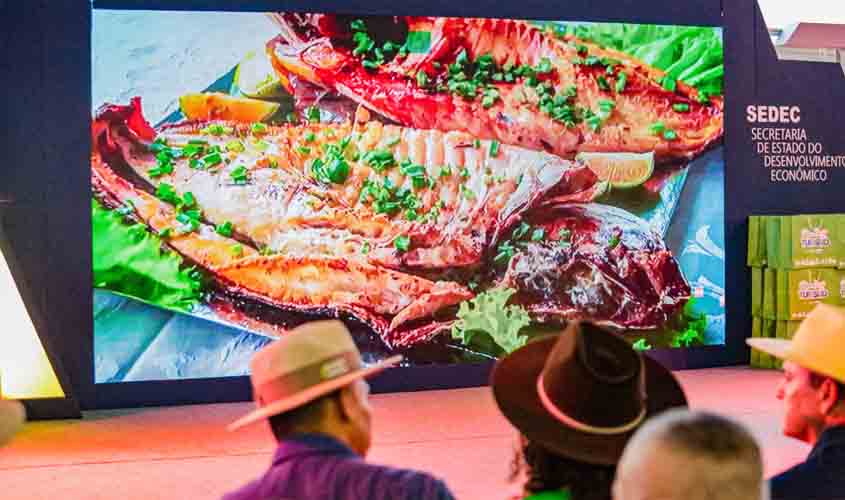 Destaque na segurança alimentar no mercado global, Rondônia registra recorde histórico de exportações