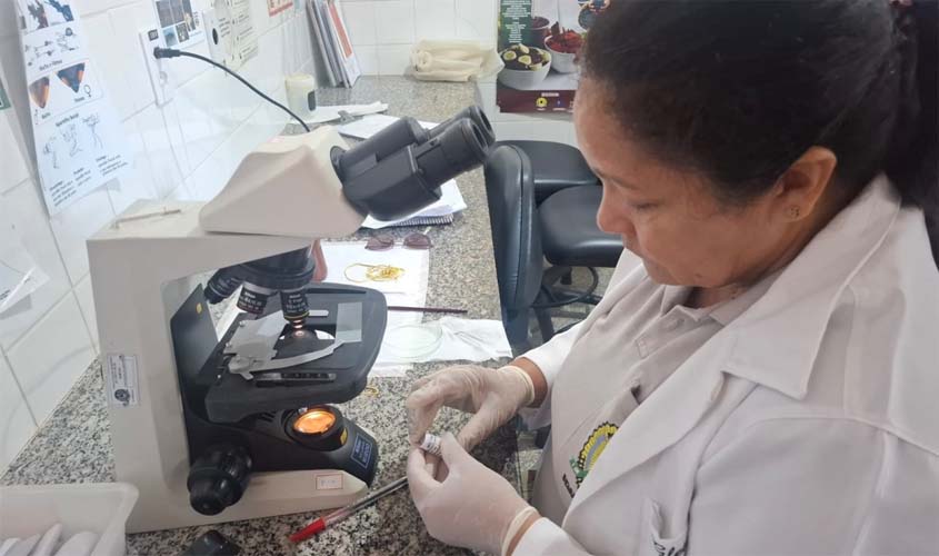 Dengue cai mais de 50% em Porto Velho com ação conjunta