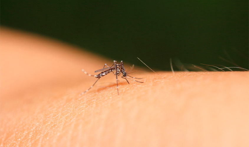 Rondônia tem mais de 320 casos prováveis de dengue em 2020
