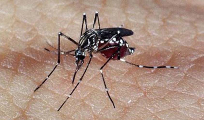 Brasil registra mais de 1,5 milhões de casos prováveis de dengue