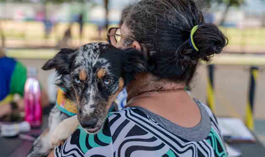 Praça CEU recebe programa Castra+Rondônia com castrações gratuitas de cães e gatos