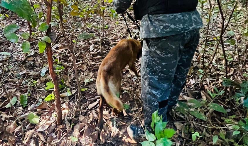 BPChoque reforça buscas após naufrágio