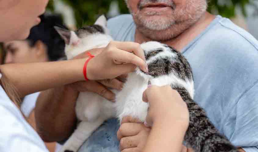 Após caso de raiva em morcego, Prefeitura executa ação de bloqueio com vacinação de animais domésticos