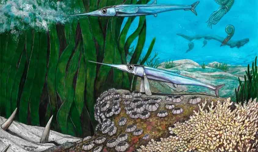 Cientistas brasileiros identificam nova espécie de peixe pré-histórico