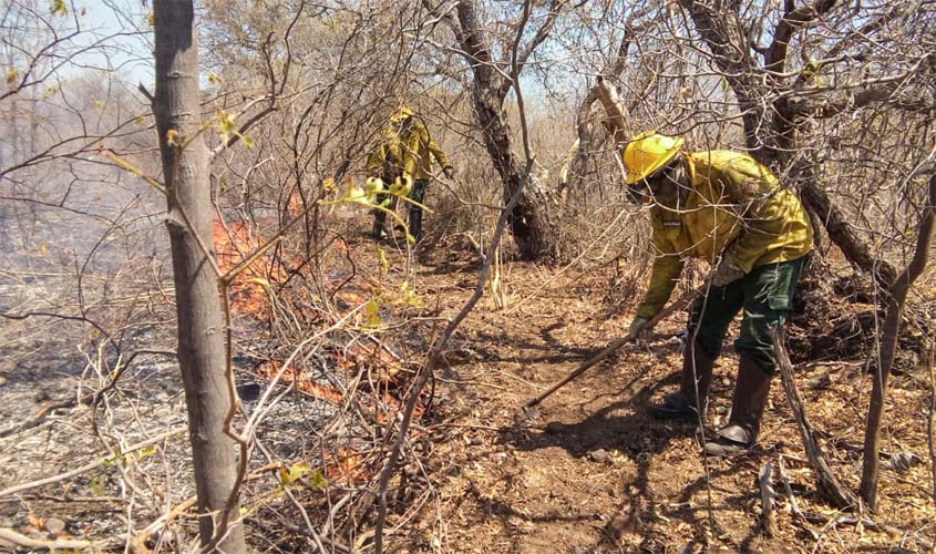 Ibama controla incêndios florestais em MG, RO, MT e CE