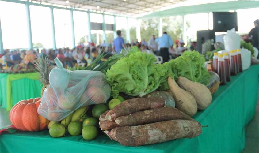 Profissionais da área da agronomia garantem qualidade e produção agrícola em Rondônia