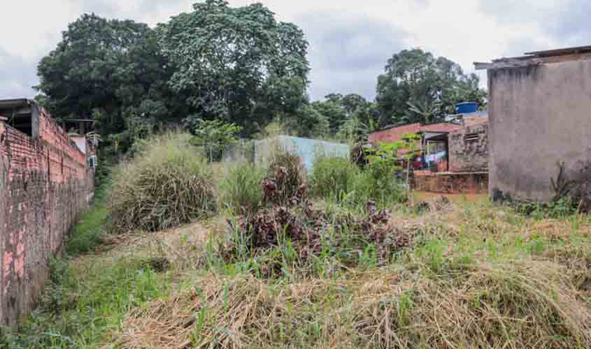 Saiba como denunciar crimes ambientais em Porto Velho