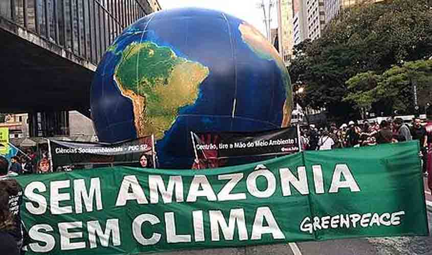 Greenpeace Brasil alerta que o poder público busque alternativas sustentáveis para mitigar os impactos imediatos  