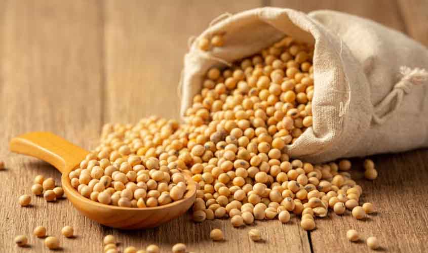 Preço da soja e do trigo hoje: confira as cotações para sexta-feira (12)