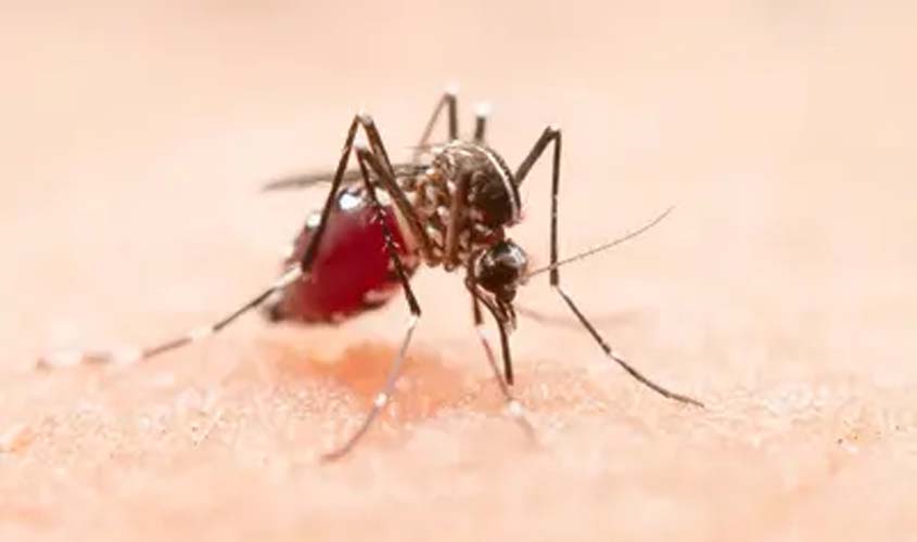 Dengue: casos prováveis caem 70% no Brasil em 2026