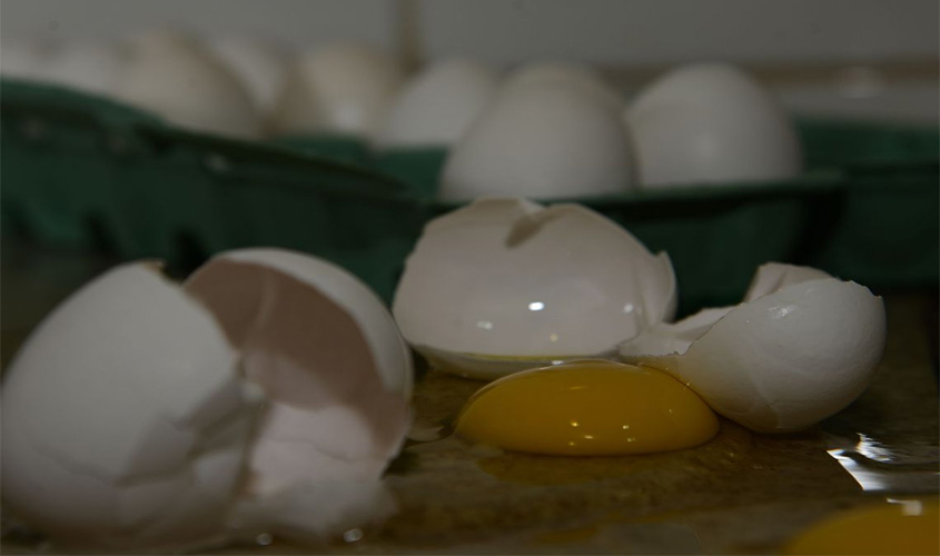 Produção de ovos de galinha bate novo recorde no país, diz IBGE