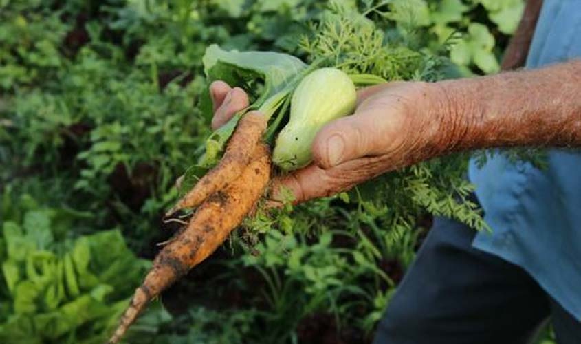 Quase um terço da área do território nacional apresenta boa ou muito boa potencialidade ao desenvolvimento agrícola, segundo pesquisa