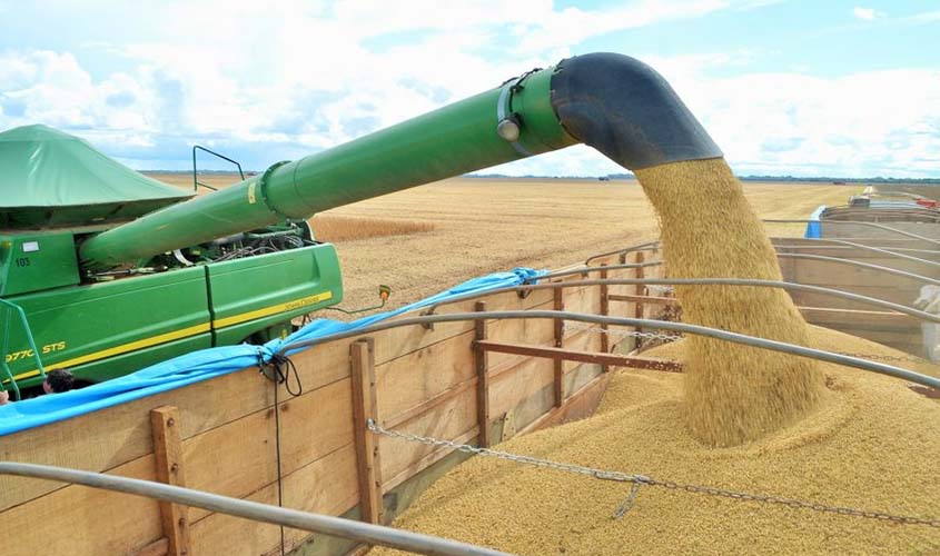 Rondônia deve produzir 1,2 milhões de toneladas de soja na safra 2019/2020