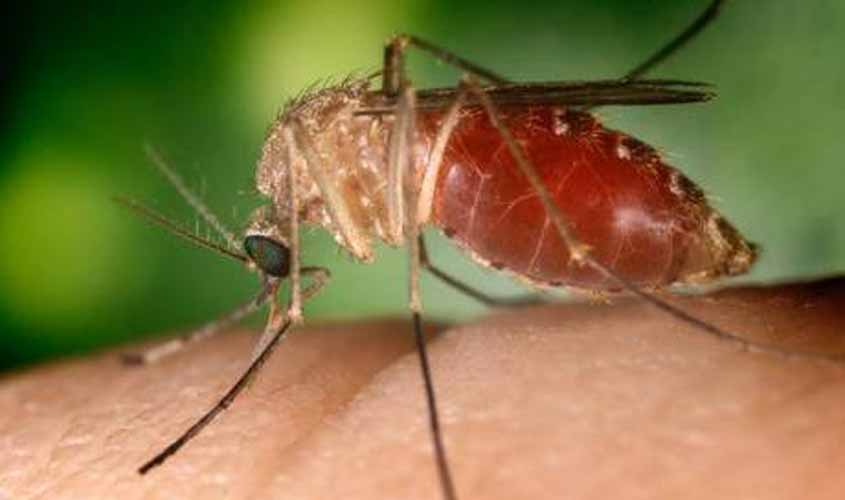 Semusa realiza 1º Levantamento Rápido de índice por Aedes aegypti de 2019